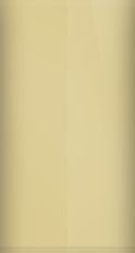 Saturn Pannacotta Beige 167/1RUWA250M Touch Up Paint swatch