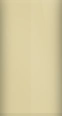 Mercedes-Benz Dune Beige Metallic 791/1791 Touch Up Paint swatch