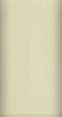 Acura Champagne Mist Pearl YR-537P Touch Up Paint swatch