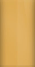 Chevrolet Orange WA8068/34 Touch Up Paint swatch