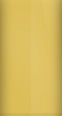 Porsche Golden Yellow Metallic 5G Touch Up Paint swatch