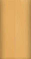 Pontiac Copper Mist Poly 63 (1975) Touch Up Paint swatch