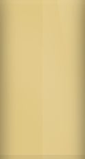 Mercury Driftwood Metallic 5B/6054 Touch Up Paint swatch
