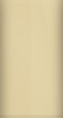 Nissan Luminous Gold Metallic E12 Touch Up Paint swatch