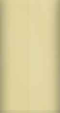 Volkswagen Storm (Mojave) Beige Metallic LA1W/1W Touch Up Paint swatch