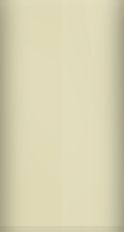 Nissan New Beige Metallic CV0 Touch Up Paint swatch