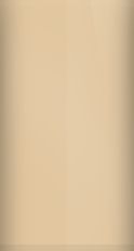 Cadillac Laredo Tan Metallic WA4042/63 Touch Up Paint swatch