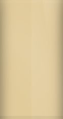 Chevrolet Tan WA8958/L41/52 Touch Up Paint swatch
