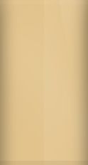 Pontiac Champagne Gold Metallic 60/WA8753 Touch Up Paint swatch