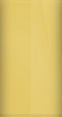 Ford Mustard (WT6210) 5 (1969) Touch Up Paint swatch