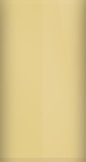 Honda Livorno Beige Y-39 Touch Up Paint swatch