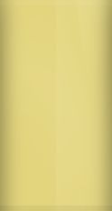 Ford Yellow W (1970) Touch Up Paint swatch
