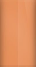 Dodge Copper Irid T-5 (1969) Touch Up Paint swatch