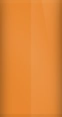 Oldsmobile Cinnamon Poly 66 (1974) Touch Up Paint swatch