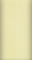 Subaru Sunlight Gold Opal Metallic D6H Touch Up Paint swatch