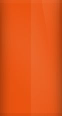 Chevrolet Bright Orange WA4909/64 Touch Up Paint swatch
