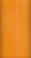 Buick Burnished Copper Poly WA4239/63 Touch Up Paint swatch