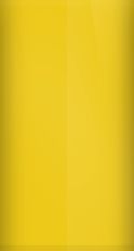 Chevrolet Bright Yellow/Daytona Yellow WA3893/984/956/76/56/51 Touch Up Paint swatch