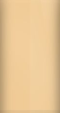 Toyota Desert Tan 4J9 Touch Up Paint swatch