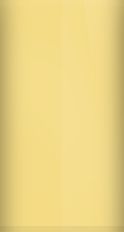 BMW Colorado Yellow 2 Touch Up Paint swatch