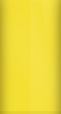 Subaru Sonic Yellow 13V Touch Up Paint swatch