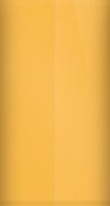 Acura Sundance Gold Pearl YR-529P Touch Up Paint swatch