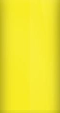 Chevrolet Bright Yellow WA4669/56 Touch Up Paint swatch