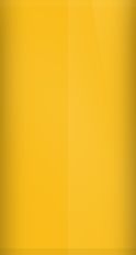 Ford School Bus Yellow BY/B1 Touch Up Paint swatch
