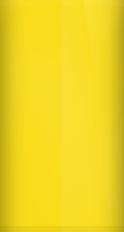 Chevrolet Corvette Yellow Metallic WA4465/953/53 Touch Up Paint swatch
