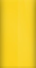Ford Triple Yellow H3 Touch Up Paint swatch