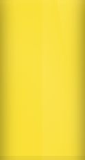 Porsche Racing Yellow P3/1S1 Touch Up Paint swatch