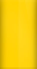 Hummer Competition Yellow 53/Y27/WA9804 Touch Up Paint swatch