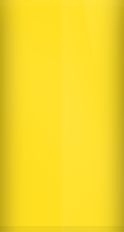 Saab Monte Carlo Yellow 231 Touch Up Paint swatch