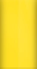 Ford Chrome Yellow BZ/M6675 Touch Up Paint swatch