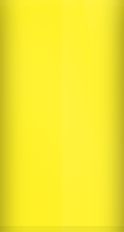 Chevrolet Yellow WA8769/35 Touch Up Paint swatch
