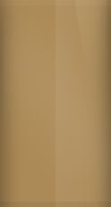 Mercedes-Benz Canyon Beige Metallic 895 Touch Up Paint swatch
