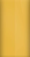 Toyota Nitro Yellow D06 Touch Up Paint swatch