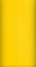 Ford Bold Yellow LE Touch Up Paint swatch