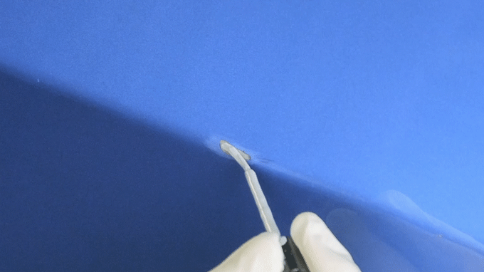 Primer Video