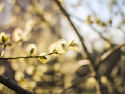 Синоптик предупредил о&nbsp;нарастании пожарной опасности в&nbsp;России