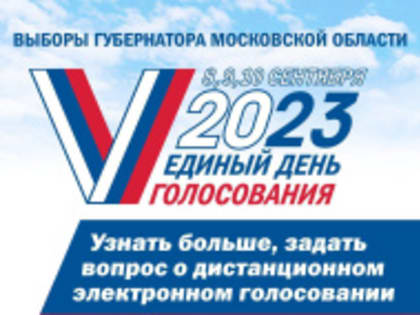 Отдать свой голос на выборах можно через интернет