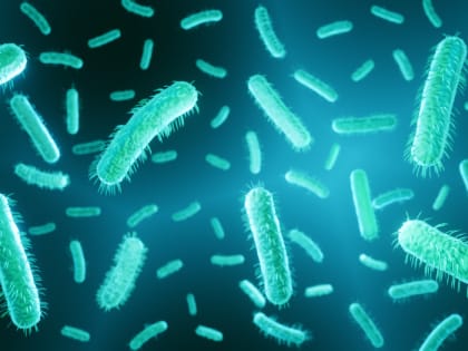 В России исключили риск завоза «болезни легионеров»