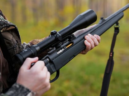 Эксперт по охоте оценил изменения, внесённые в законодательство об оружии