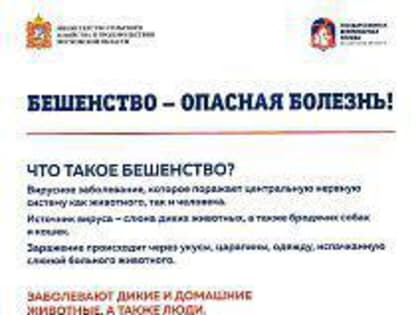 Месячник по профилактике бешенства