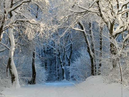 Синоптики рассказали, сколько дней простоят сильные морозы в России