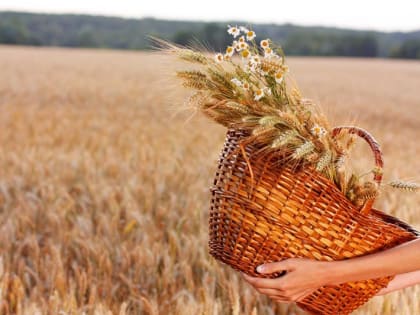 Сотрудницы сферы АПК Воскресенска могут поучаствовать во Всероссийском конкурсе