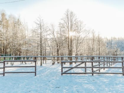 Как в Орехово-Зуевском округе появилась оленья ферма?