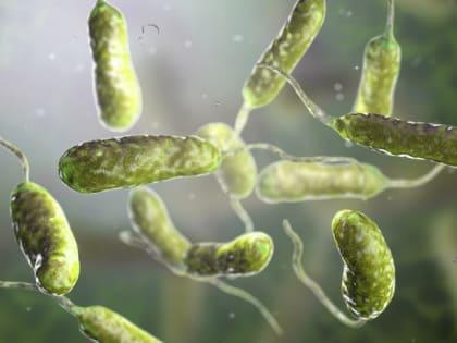 Вирусолог Альтштейн объяснил, почему в России эпидемии холеры не будет