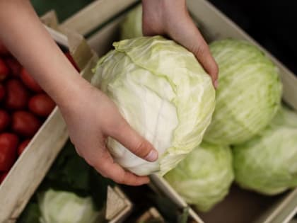 Онколог рассказал, что капуста помогает замедлить старение организма