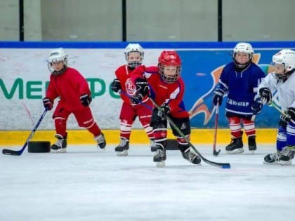 СШОР «Витязь»&nbsp;вошла в двадцатку лучших хоккейных школ России